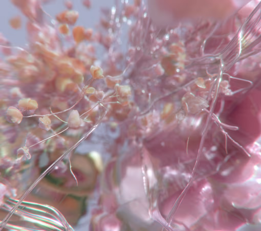 Close-up of delicate pink and peach flowers entangled with translucent thin threads.