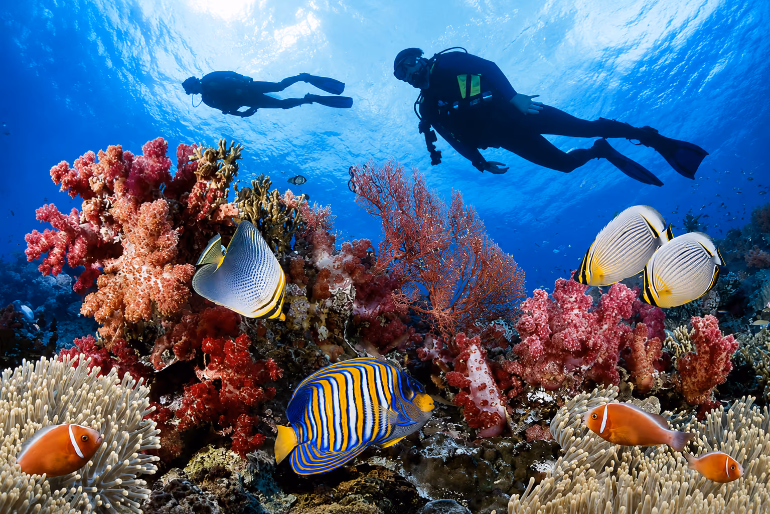 Scuba Diving Expeditions