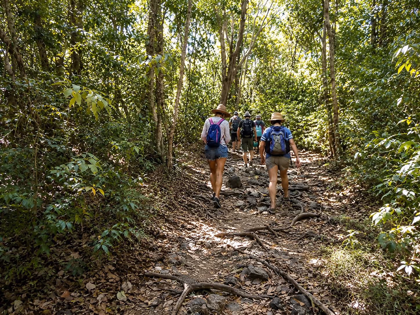 Forest. Coastline. Mangrove. Hill. All extraordinary. All within reach.