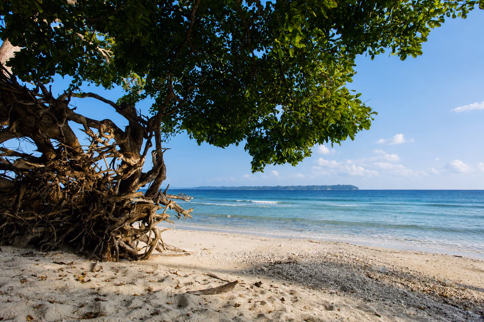 Eco and Wellness Retreats Images