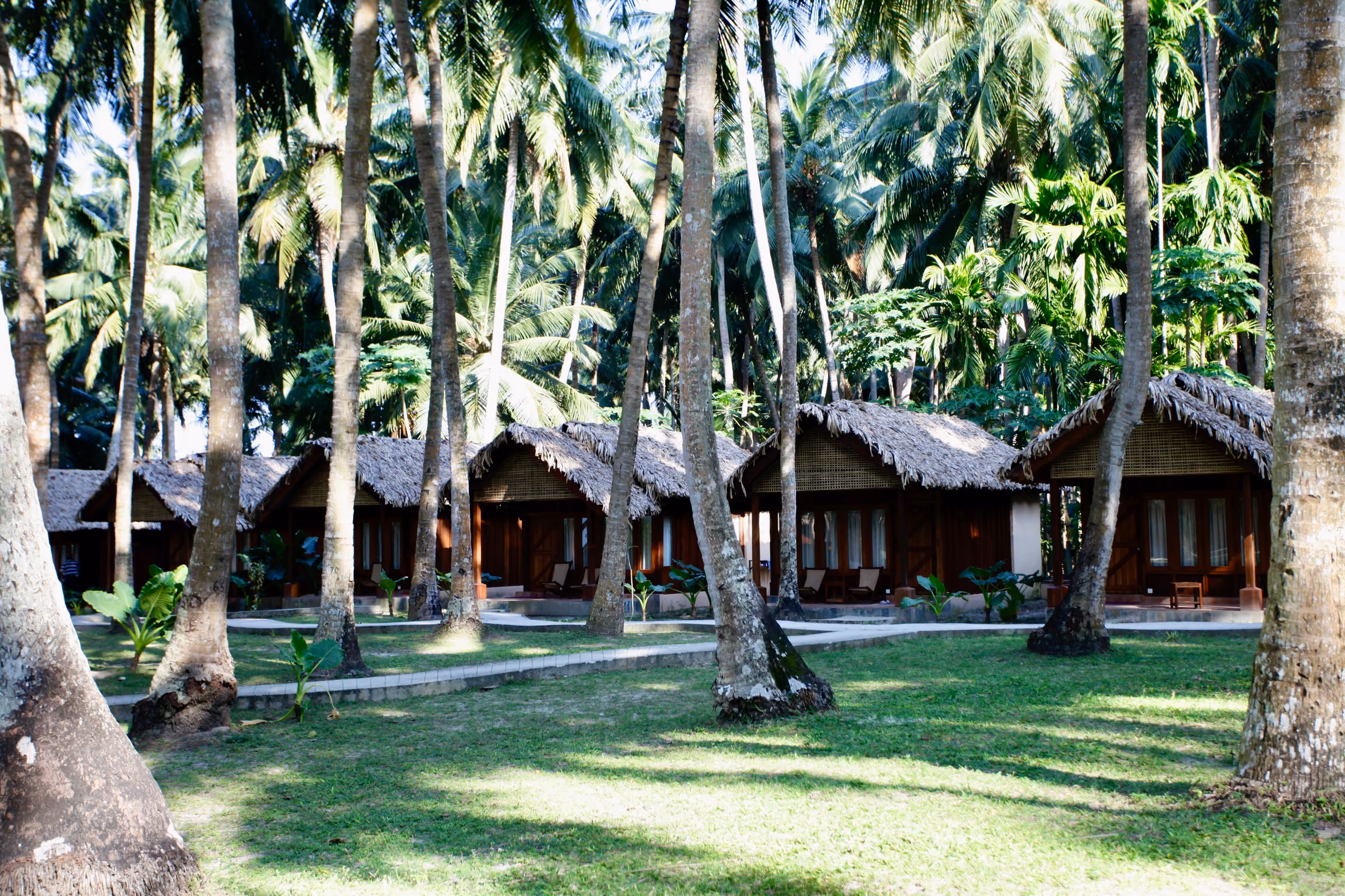 Eco and Wellness Retreats Images of Andaman Holidays