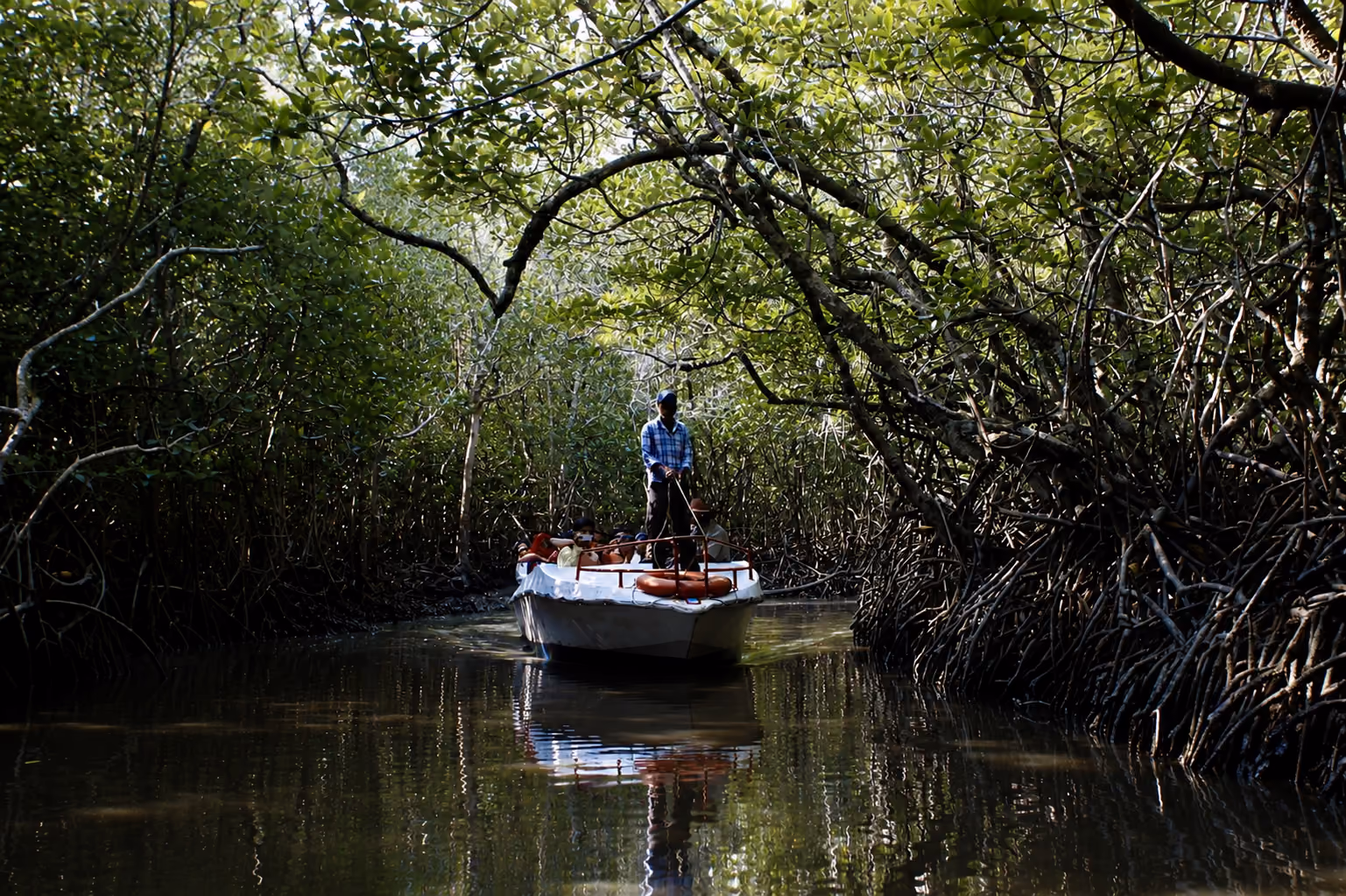 Discovery Expeditions Images