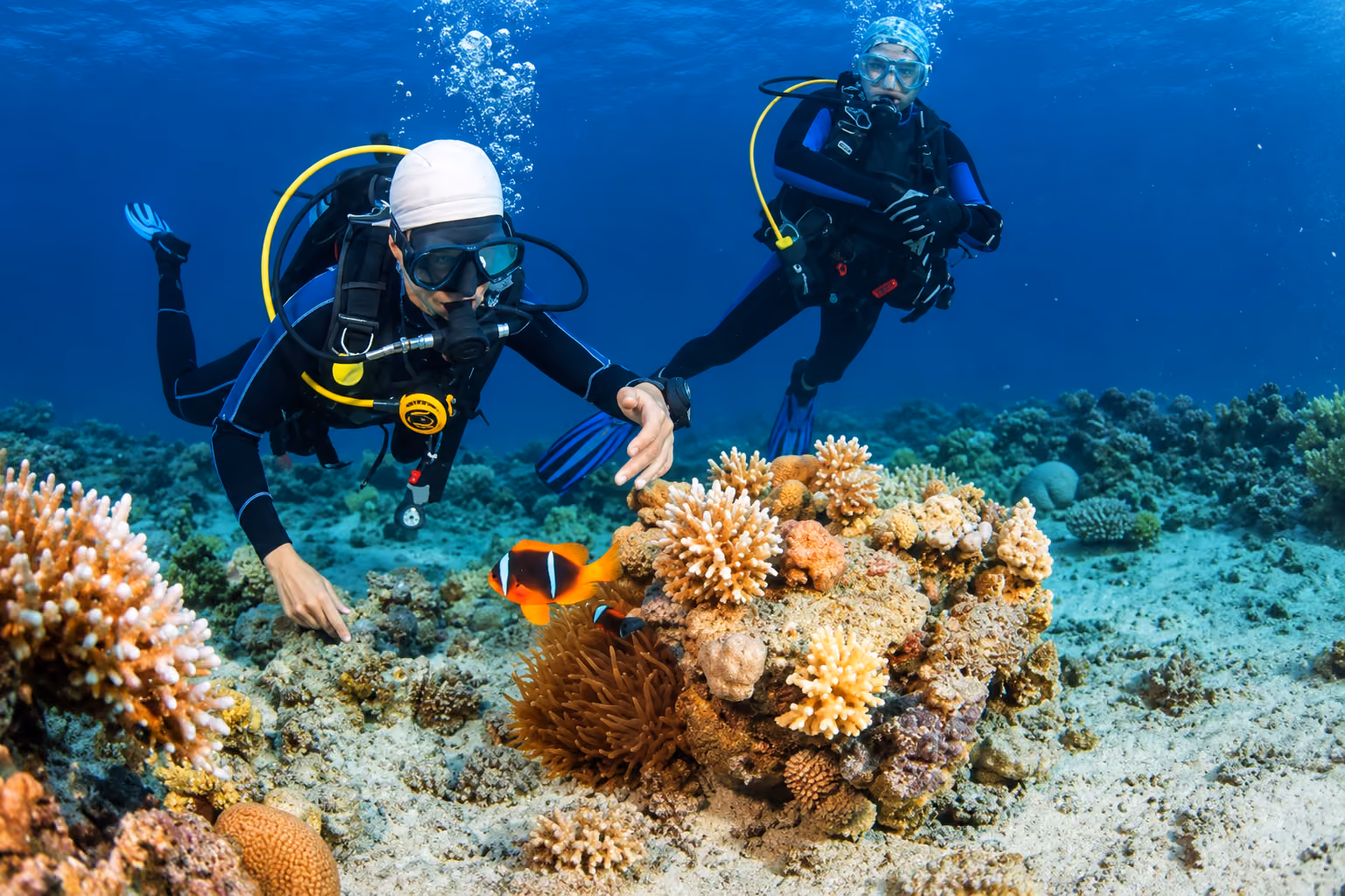 Scuba Diving Images