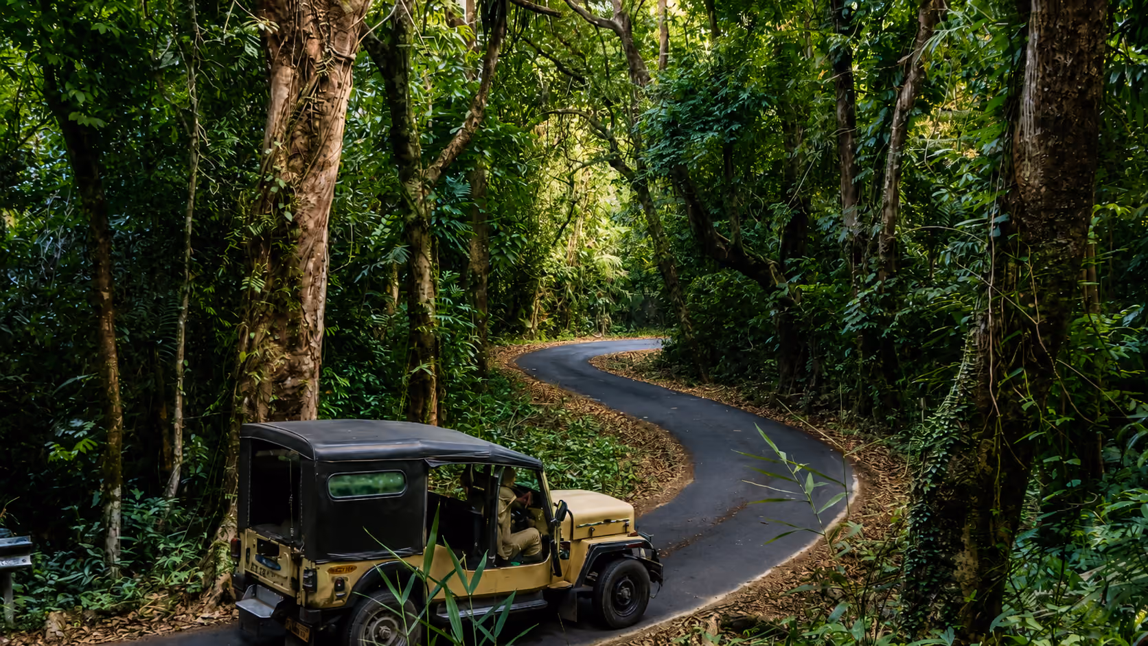 Cycling Expeditions Images