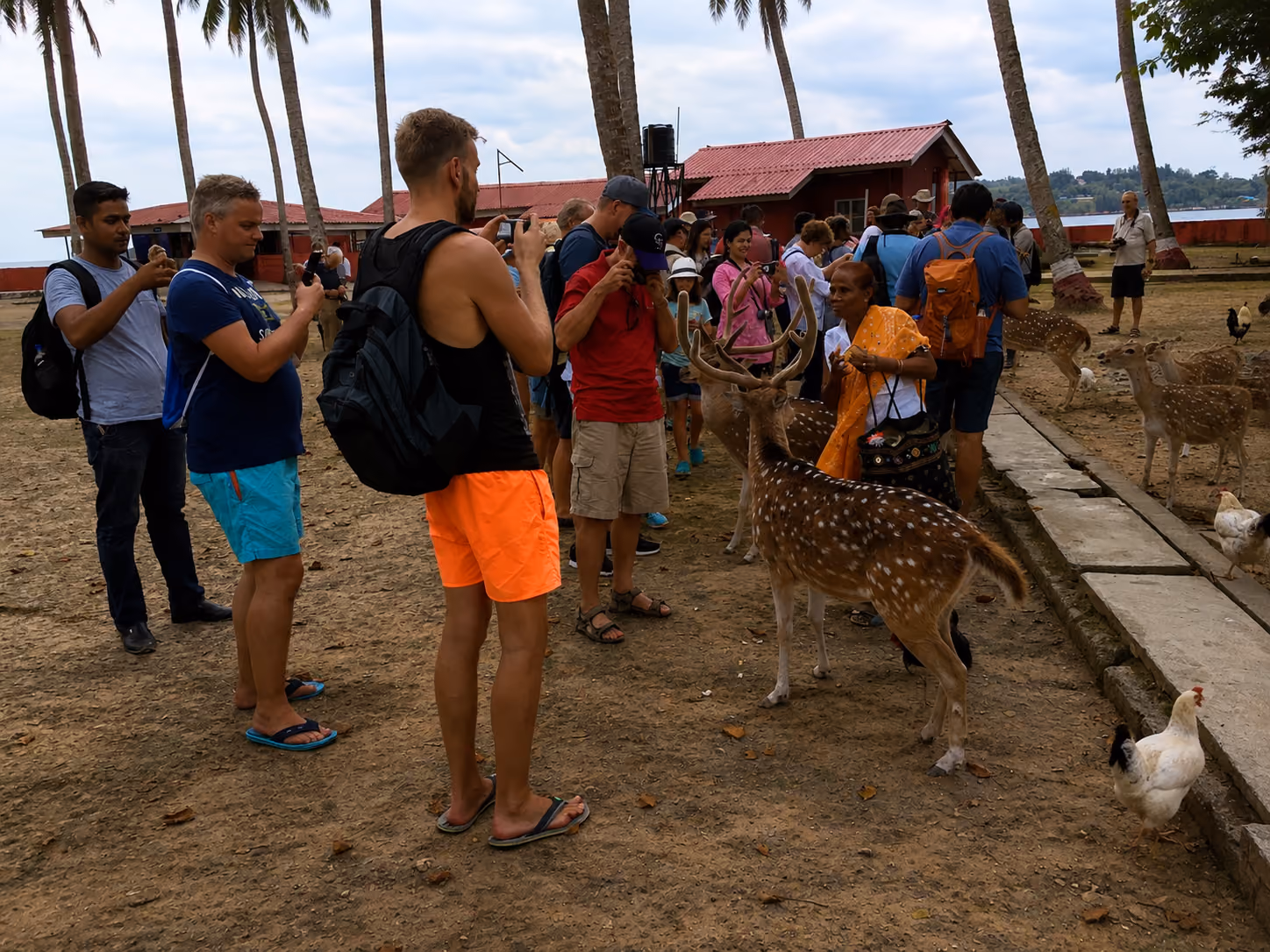 Shore Excursions