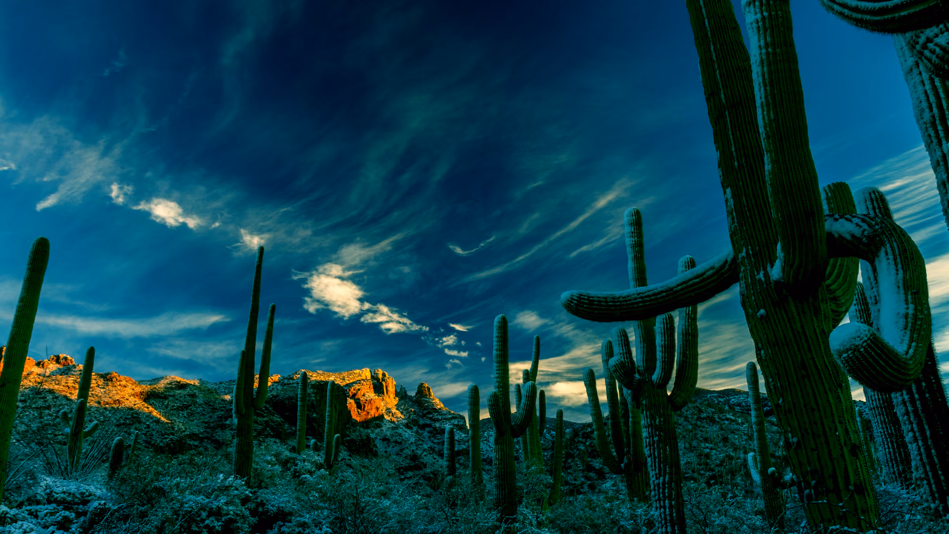 Climate Disclosure Laws with Increasingly Long Arms