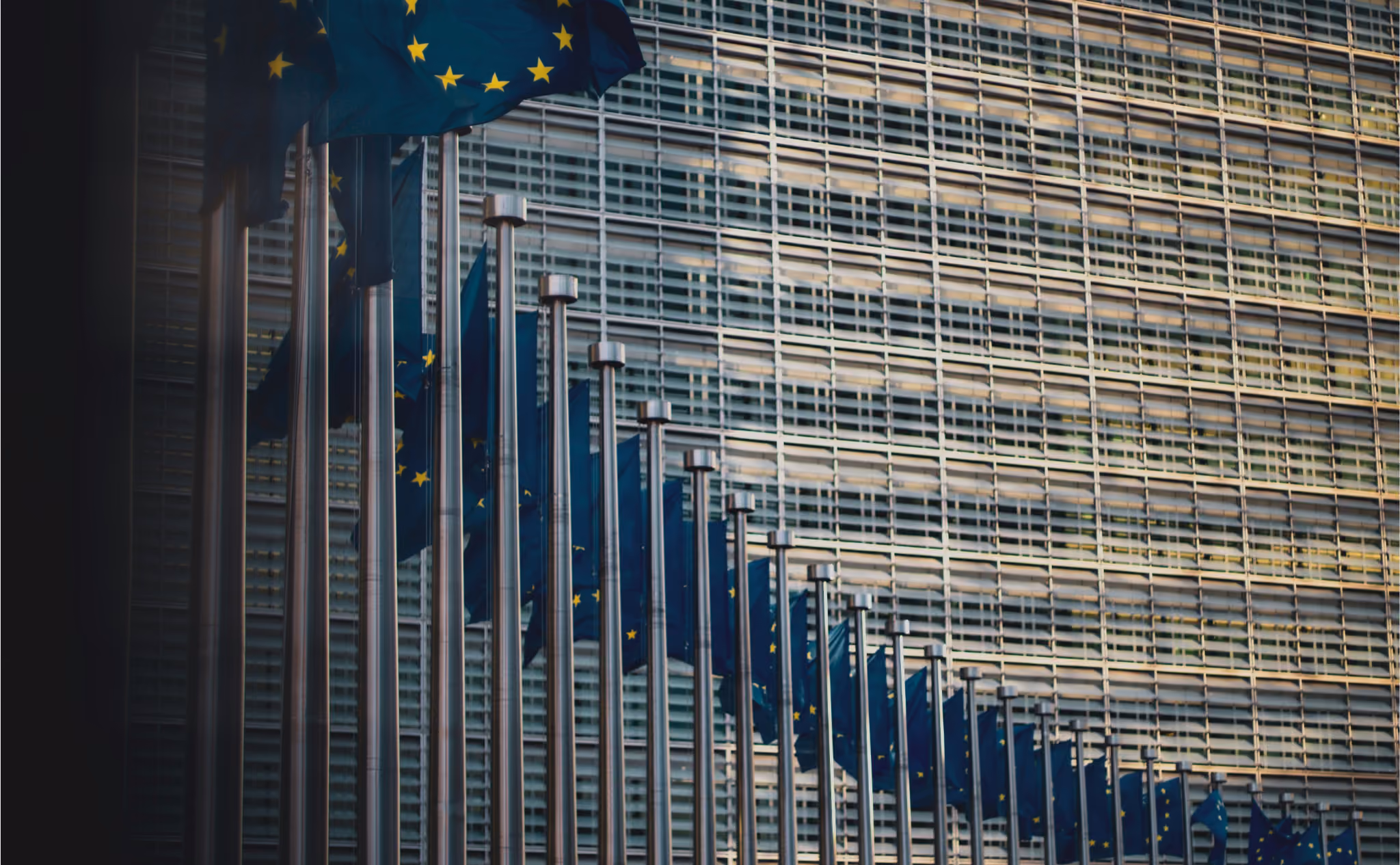 Response to Call for Evidence - Revision of EU Rules on Sustainable Finance Disclosure