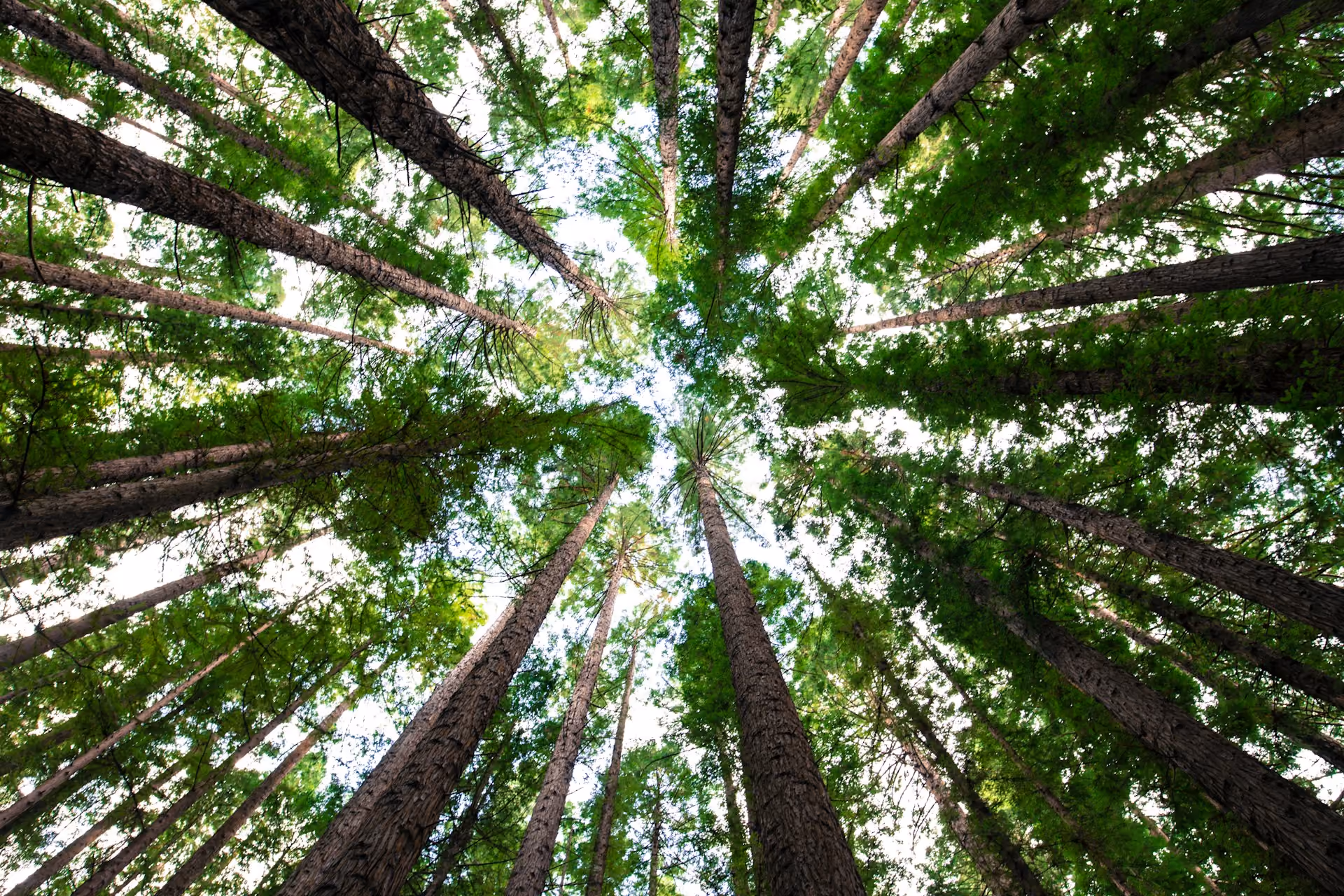 Use High Quality Data to Manage PCAF-aligned Financed Emissions with ESG Book and Zfolio