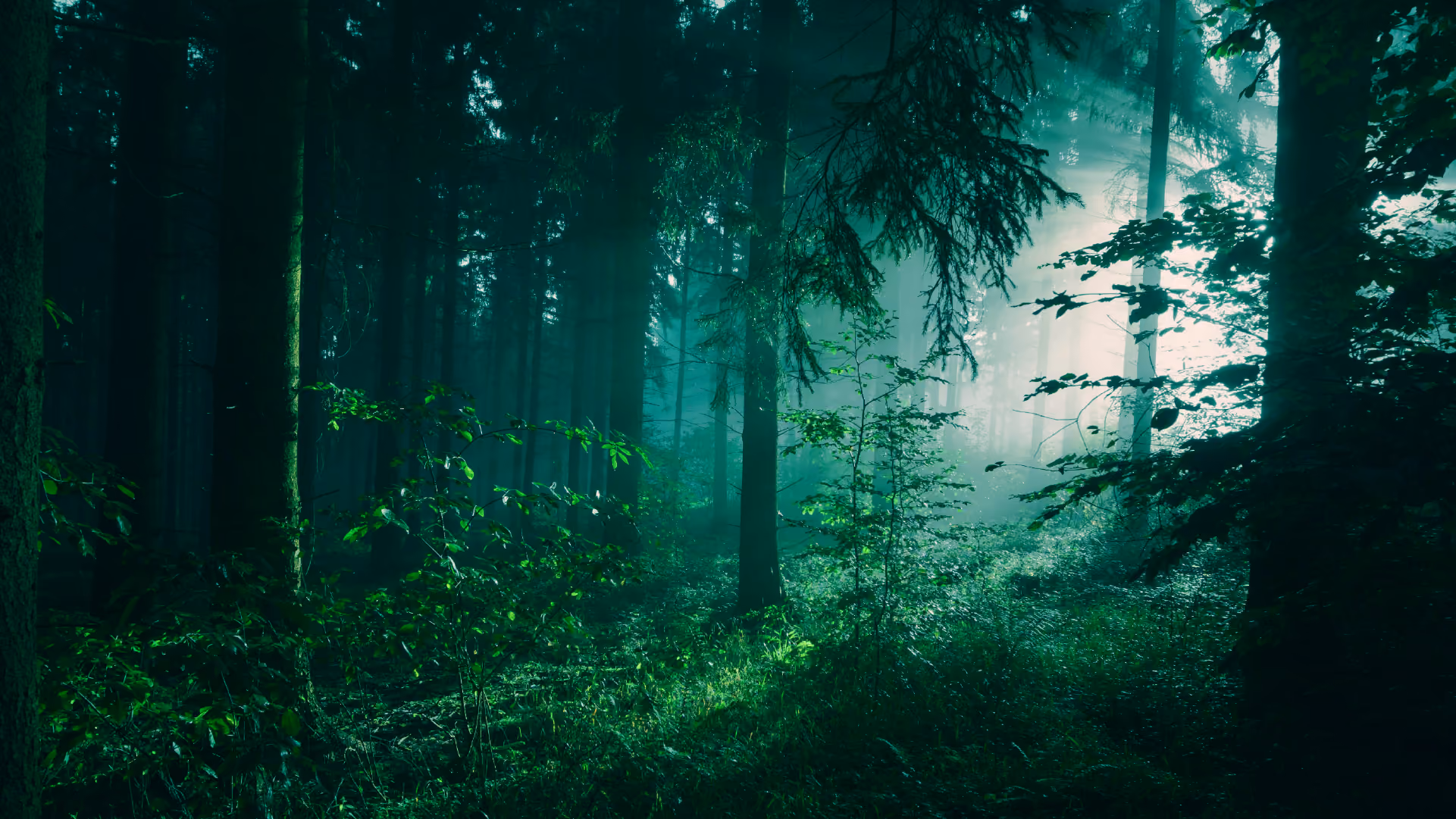 Why the language of climate change is evolving