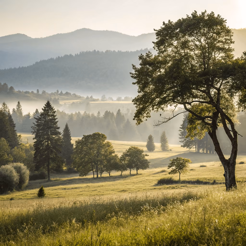 Macroeconomic bulletin – August/September 2025