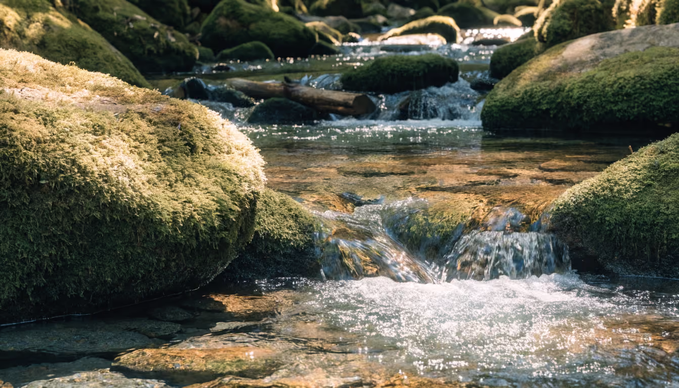Uncharted waters