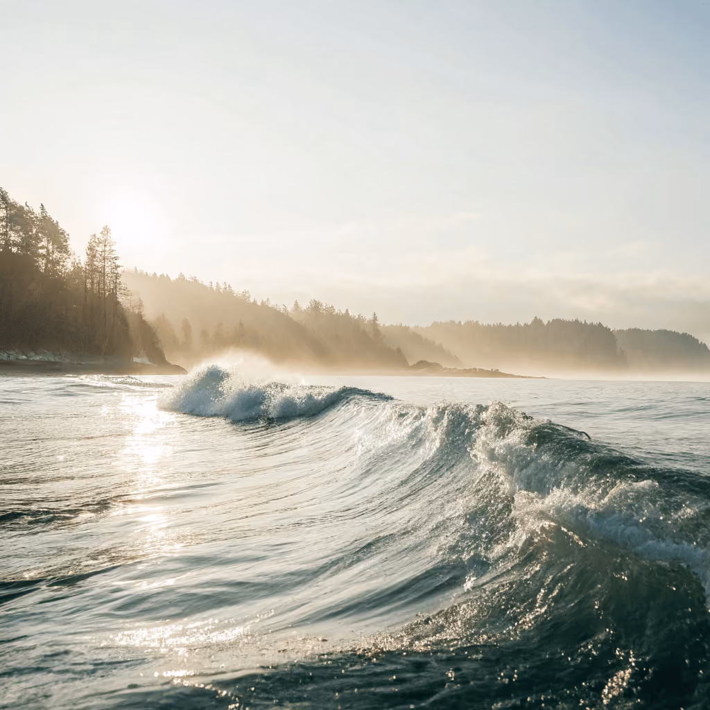 Sustainable finance: a better understanding of sustainability risks