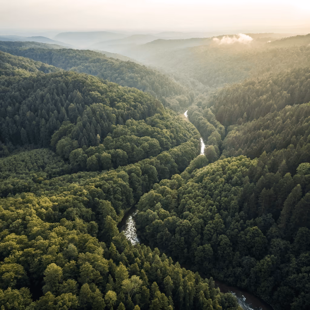 SME ESG Performance: European Sustainability Trends 2023