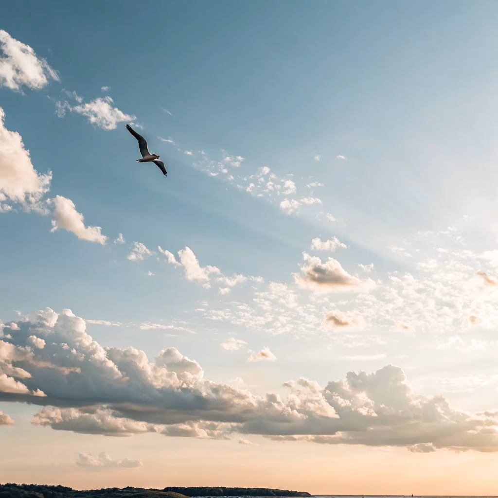 Ethifinance's new solicited sustainability rating methodology