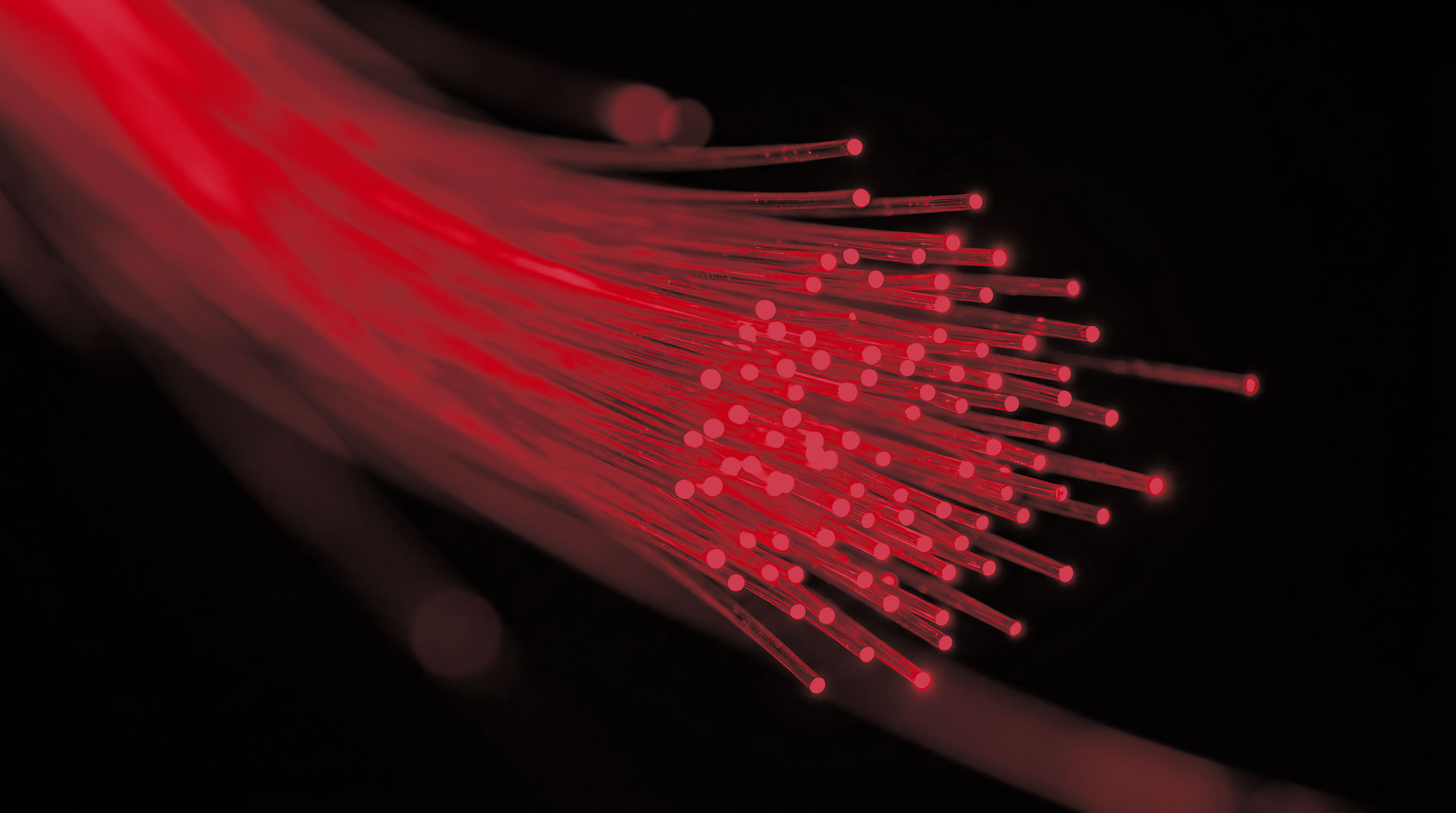 Illuminated red fiber optic cables representing Sequel Data Systems' connectivity