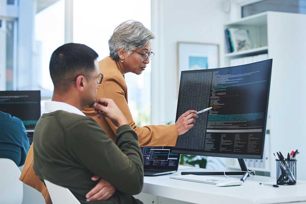 Sequel-Data-Systems-consultants-reviewing-code-on-screen-with-a-public-sector-client