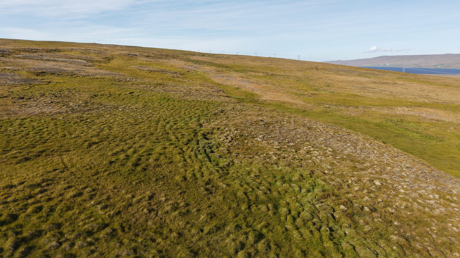 Aerial view of Reforest Iceland's named land at Fagrabrekka, Iceland
