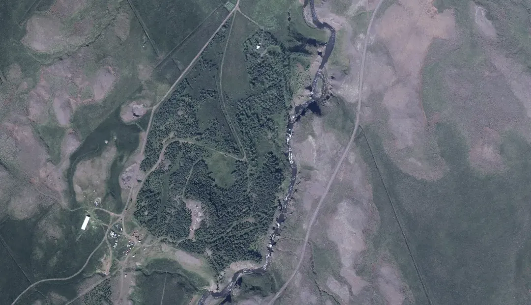The same land at Mælifellsá in 2023, now covered in dark green woodland