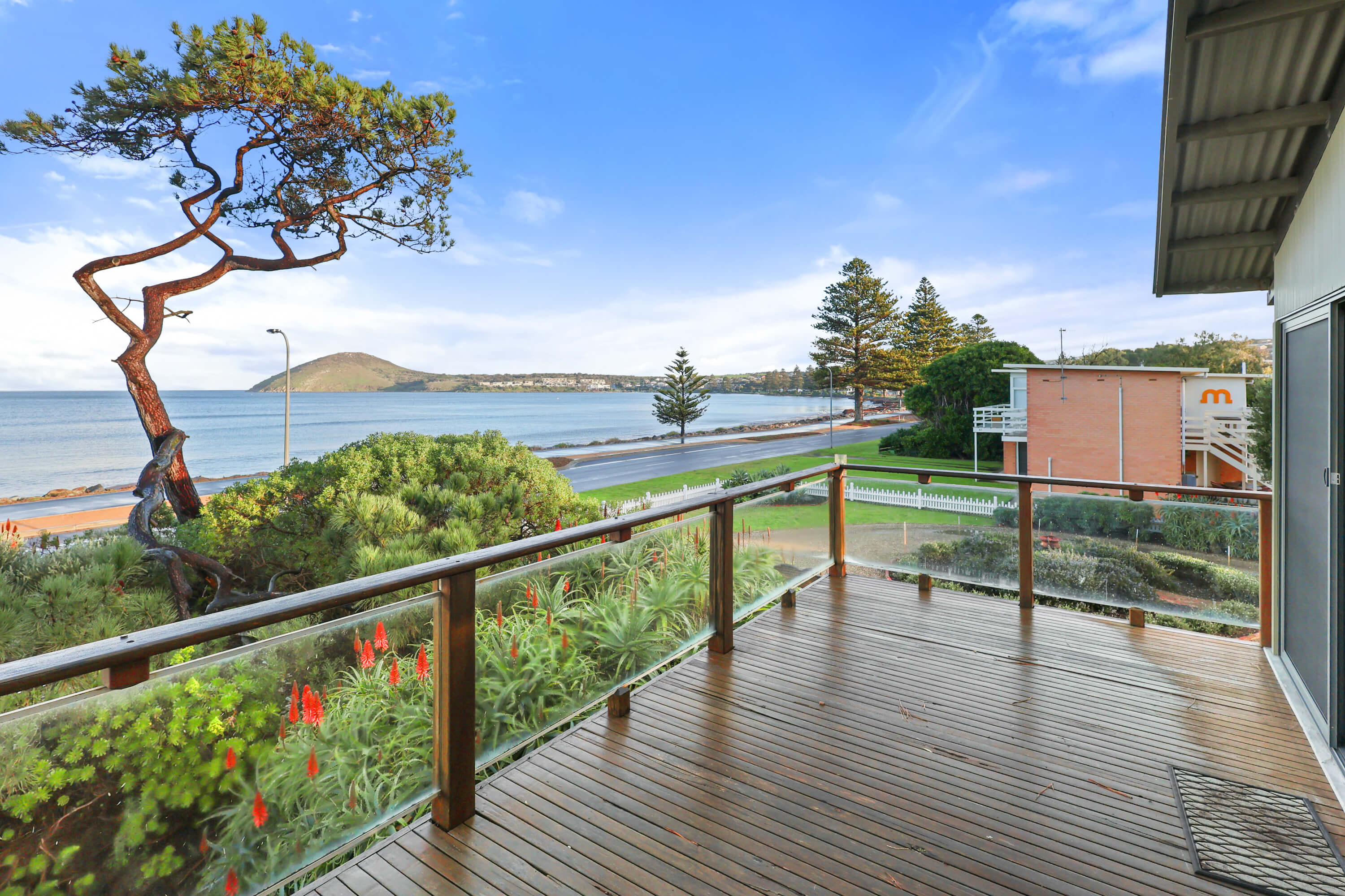 Deck outlook through sculptural coastal pines over Encounter Bay at Franklin Ave