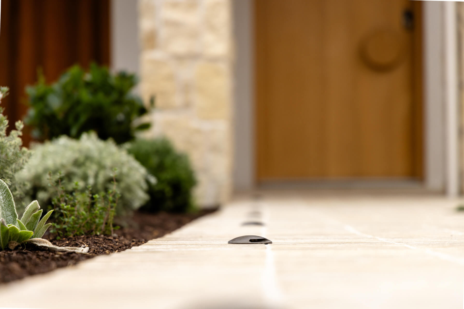 Garden path lighting and native plantings beside the timber entry door at Henry St, Port Elliot