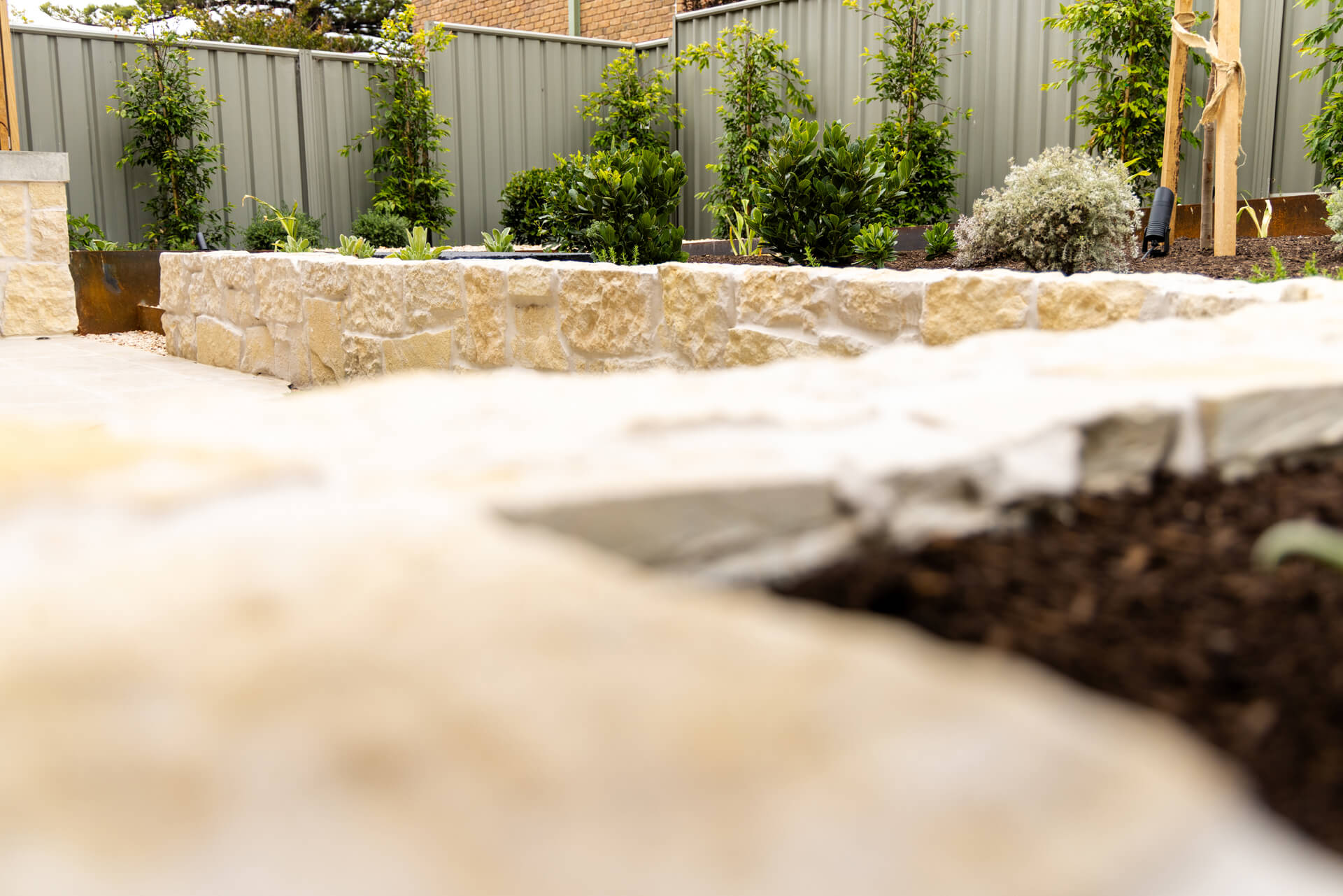 Limestone garden wall with espaliered trees and new plantings at Henry St, Port Elliot