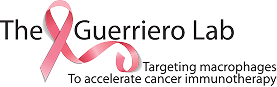 The Guerriero Lab's Logo