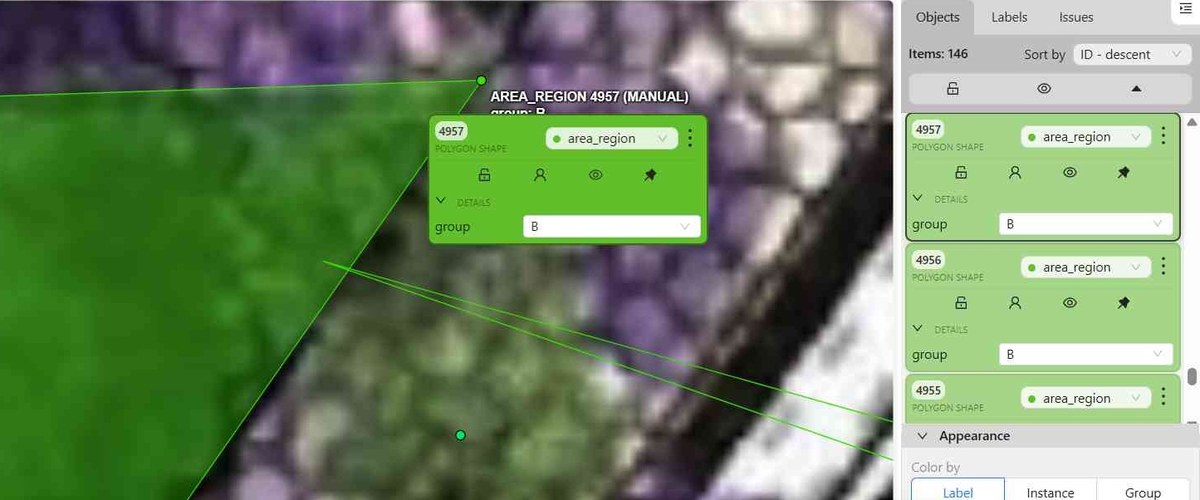 Annotation tool showing aerial imagery with a vegetation area traced as a polygon region