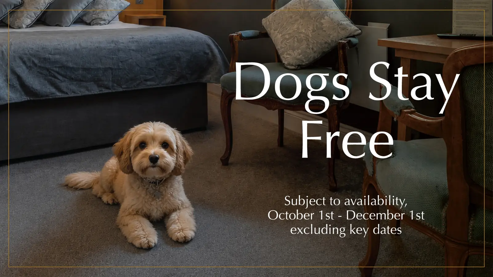 Dogs stay free autumn offer at The Bulkeley