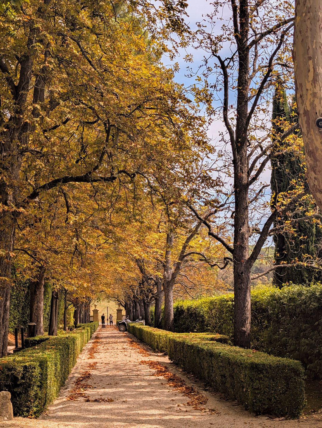 Autumn leaves at Château de la Gaude
