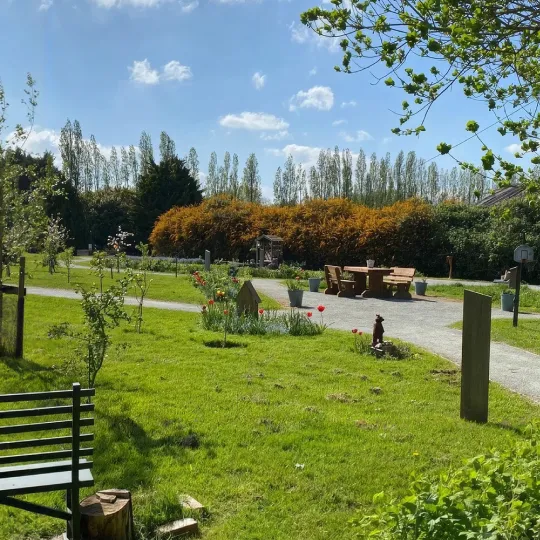 Sunny garden with green grass, wooden bench, flower beds, picnic table, and trees under blue sky.