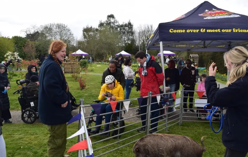 People gathered outdoors at an animal petting area with a pig under a tent saying come meet our friends.