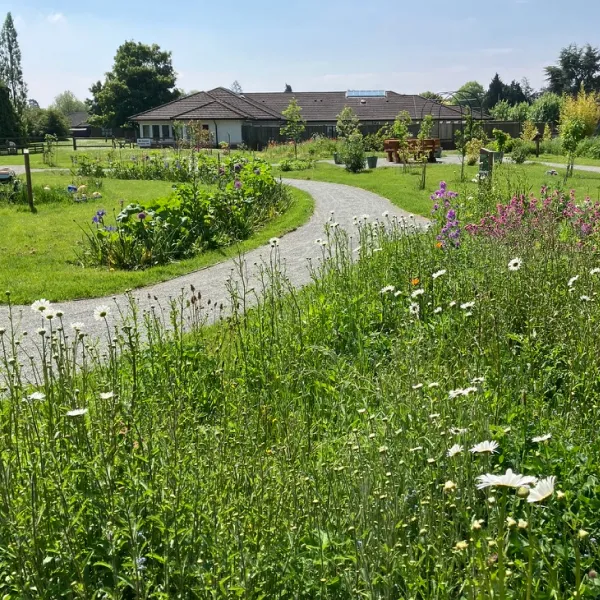 Curved gravel path through green garden with wildflowers and building in background under blue sky.