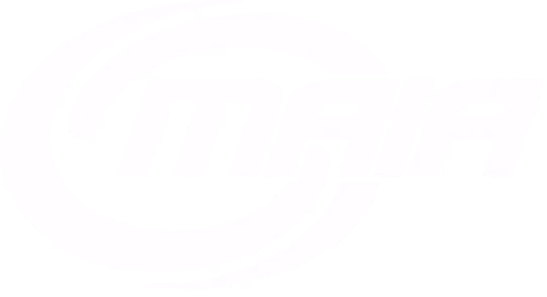 Martial Arts Industry Association