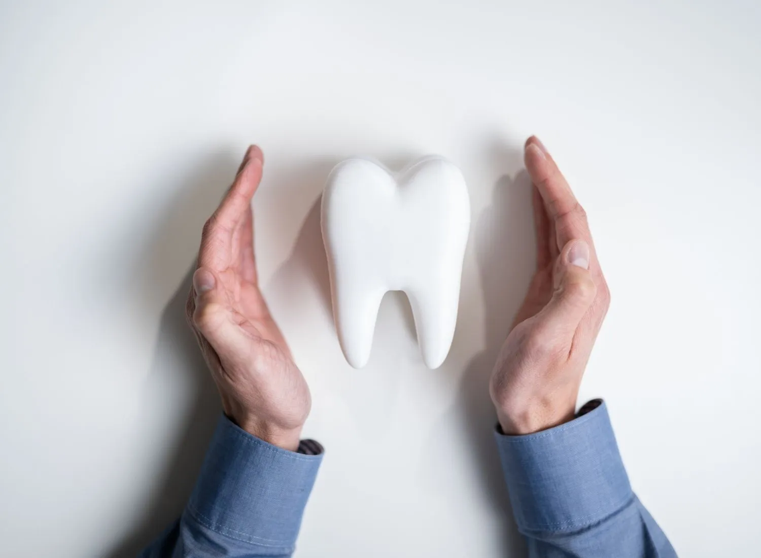 Two hands in blue sleeves cupping a large white tooth model on a white surface.