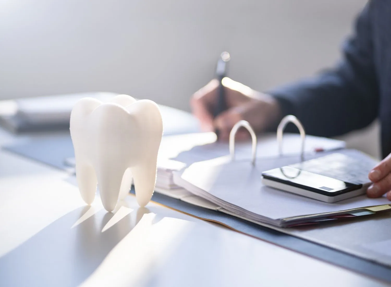 White tooth model on desk next to hand writing on papers with calculator and binder.