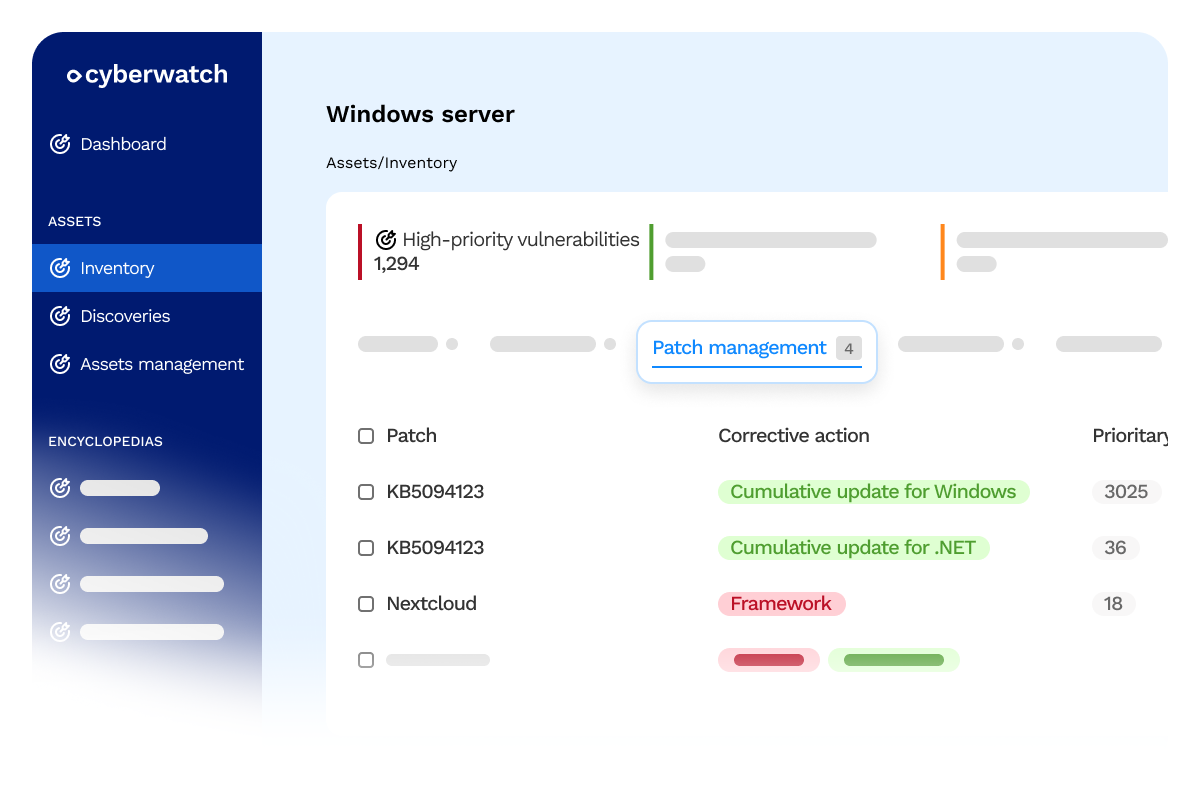 High Priority Vulnerabilities