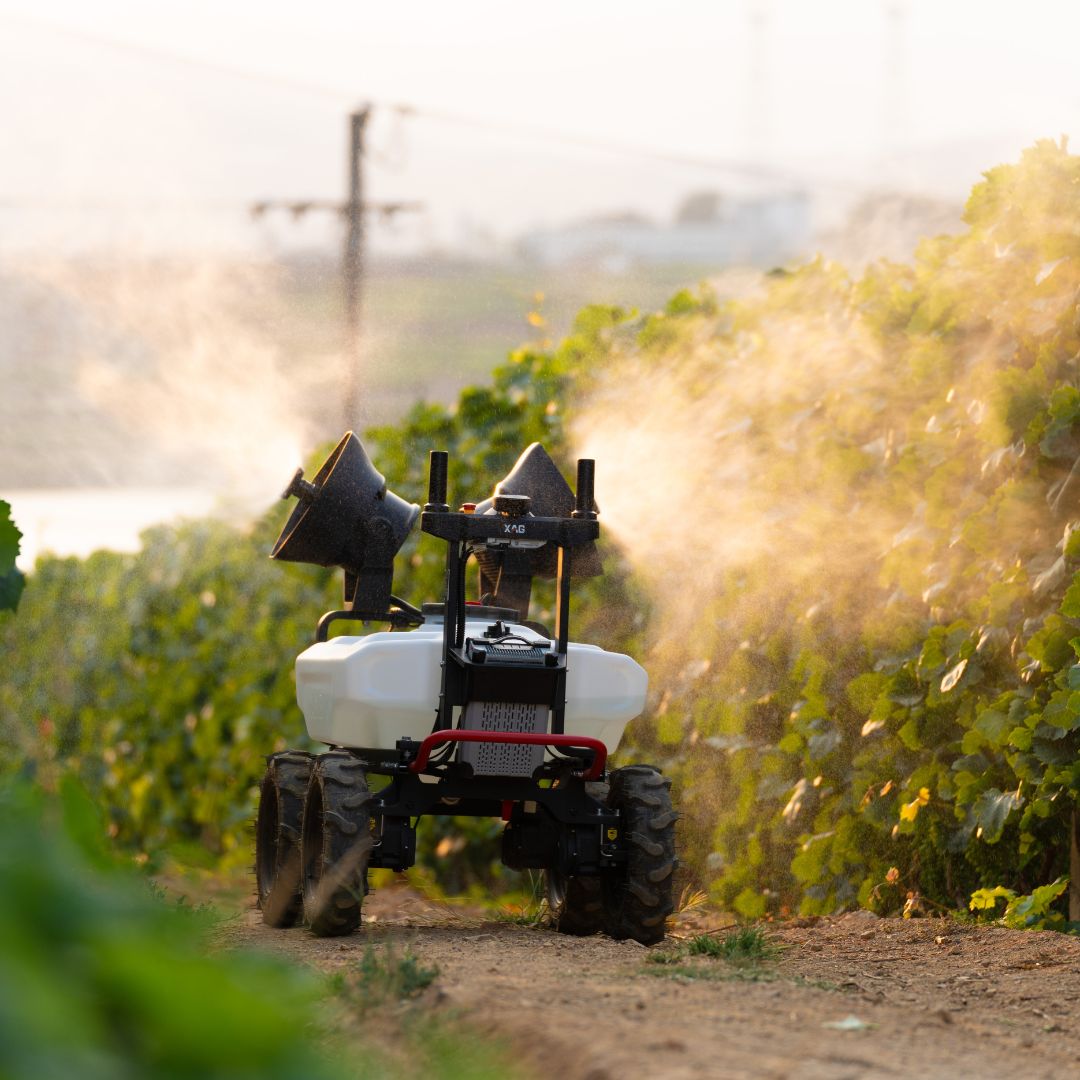 Robot agricol autonom XAG R100 utilizat pentru pulverizarea culturilor într-o plantație.