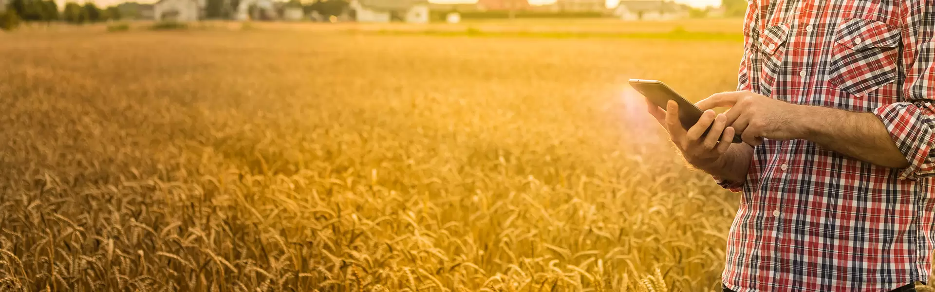 Trimble Farmer Pro mai puternic software de management al fermei în variantă pentru desktop și online de la Trimble. 