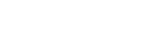 Blue Cog Software logo