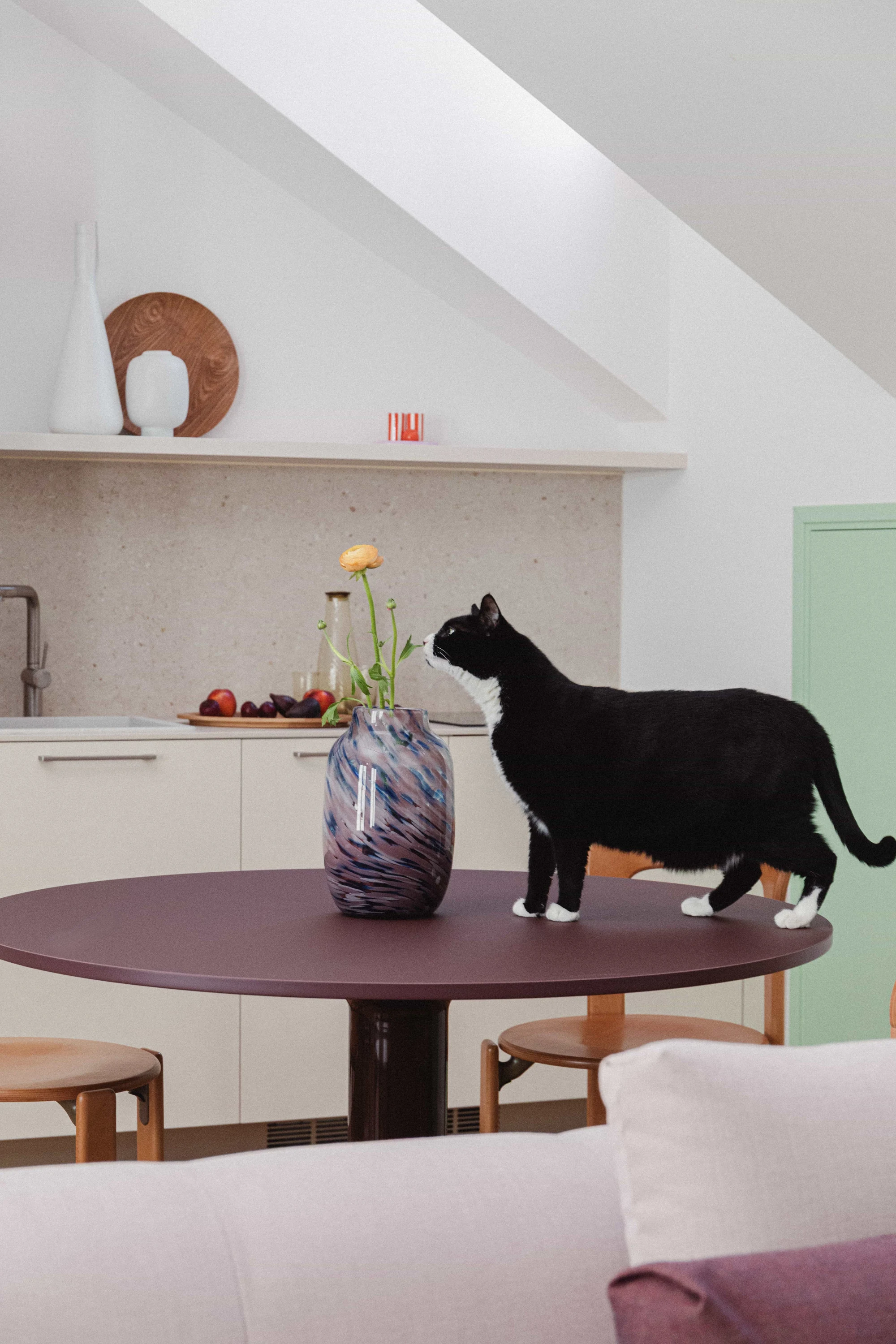 Cocina abuhardillada tras reforma integral: muebles blanco roto, frontal de terrazo, mesa color berenjena, floreo y gato.
