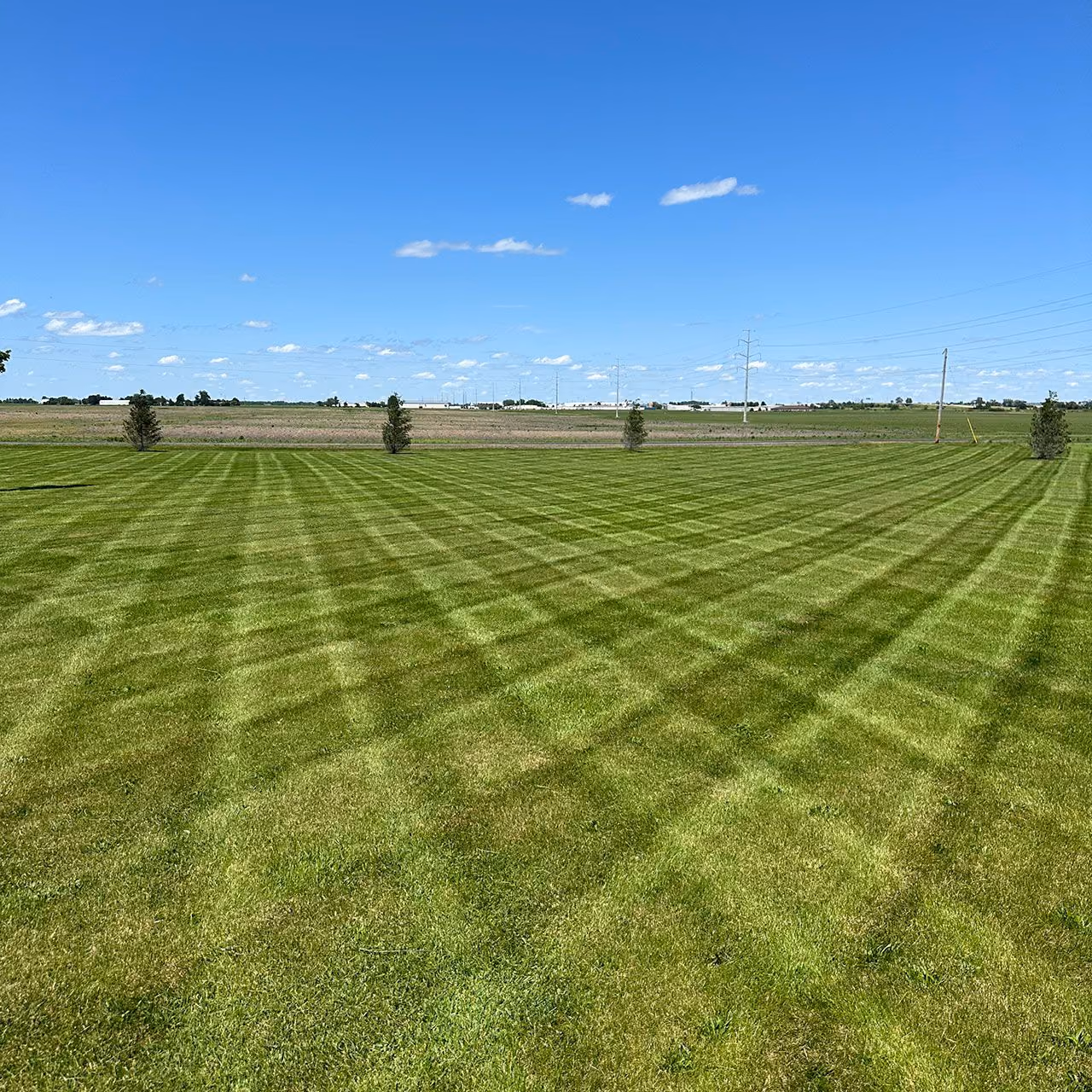Fresh lawn stripes from professional mowing by Easier Grounds Management in Pekin, Illinois