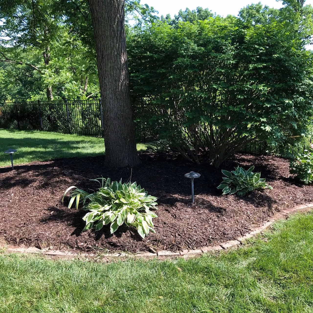 Professional commercial landscape maintenance in Pekin, Illinois