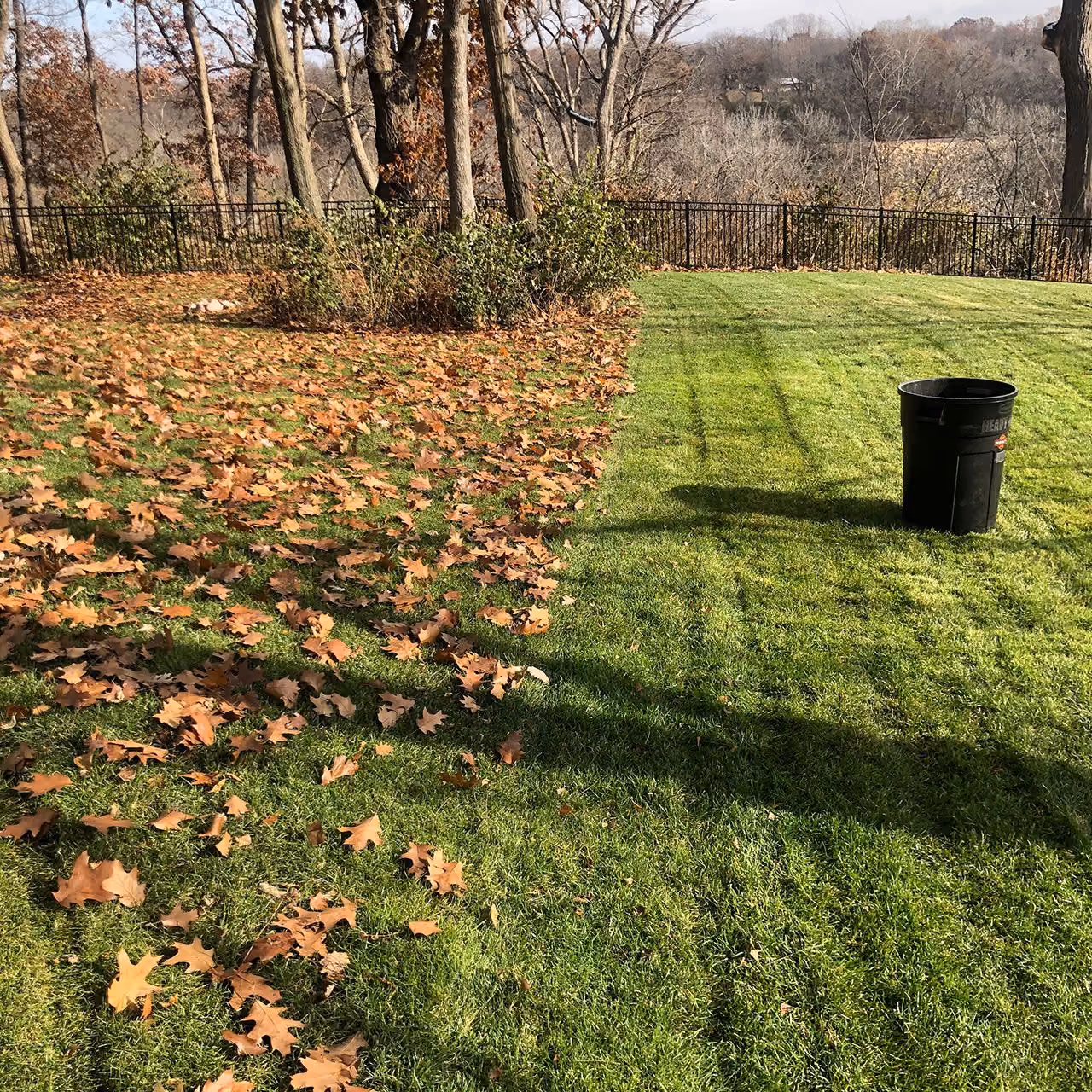Professional residential lawn maintenance near me in Pekin, Illinois