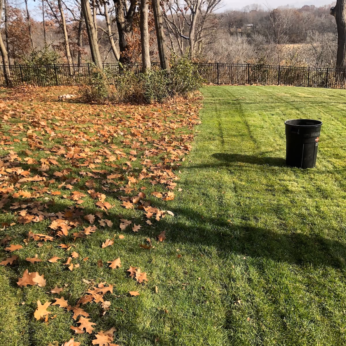 Professional residential lawn maintenance near me in Pekin, Illinois
