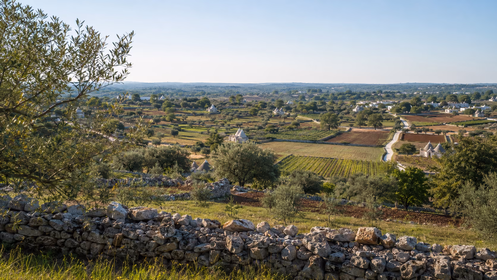 Valle d’Itria landscape with trulli, olive groves and rolling countryside in Puglia