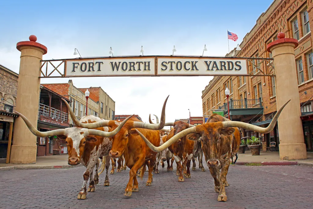 Skylinq serving a Dallas–Fort Worth neighborhood