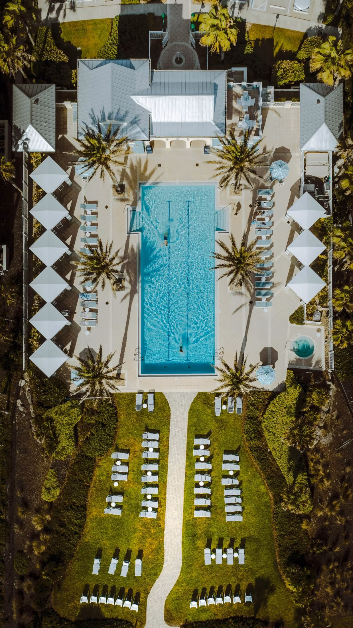 Aerial view of a resort pool lined with palm trees and cabanas