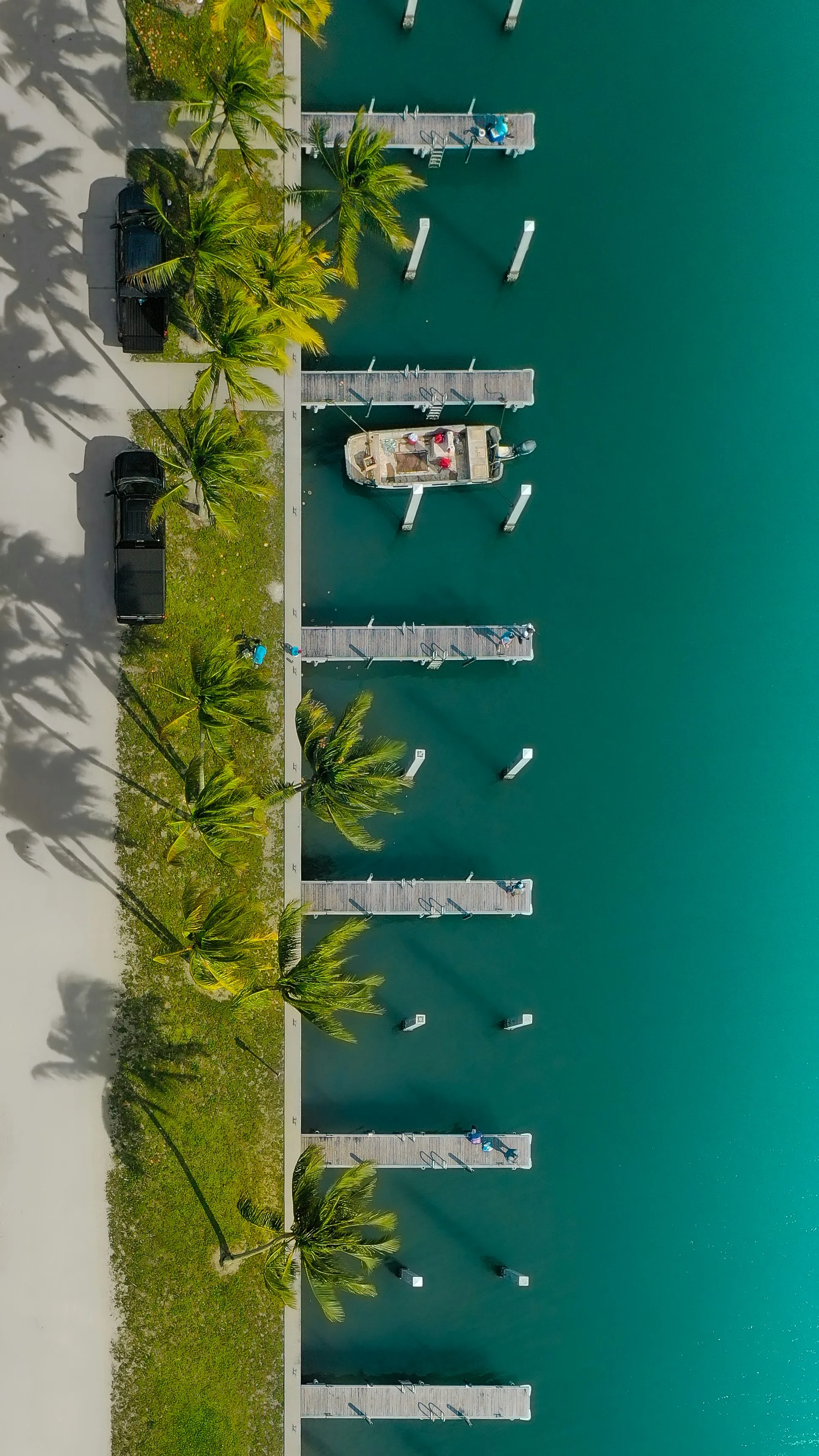 Aerial view of boat docks and palm trees along a Florida marina