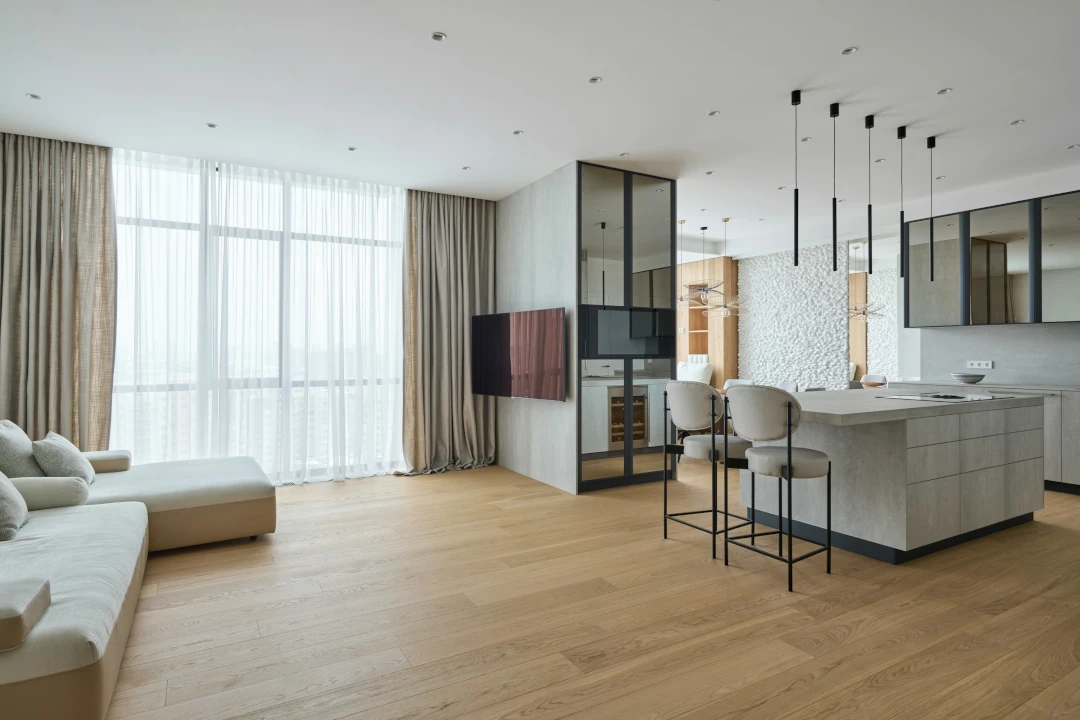 modern living and kitchen rooms