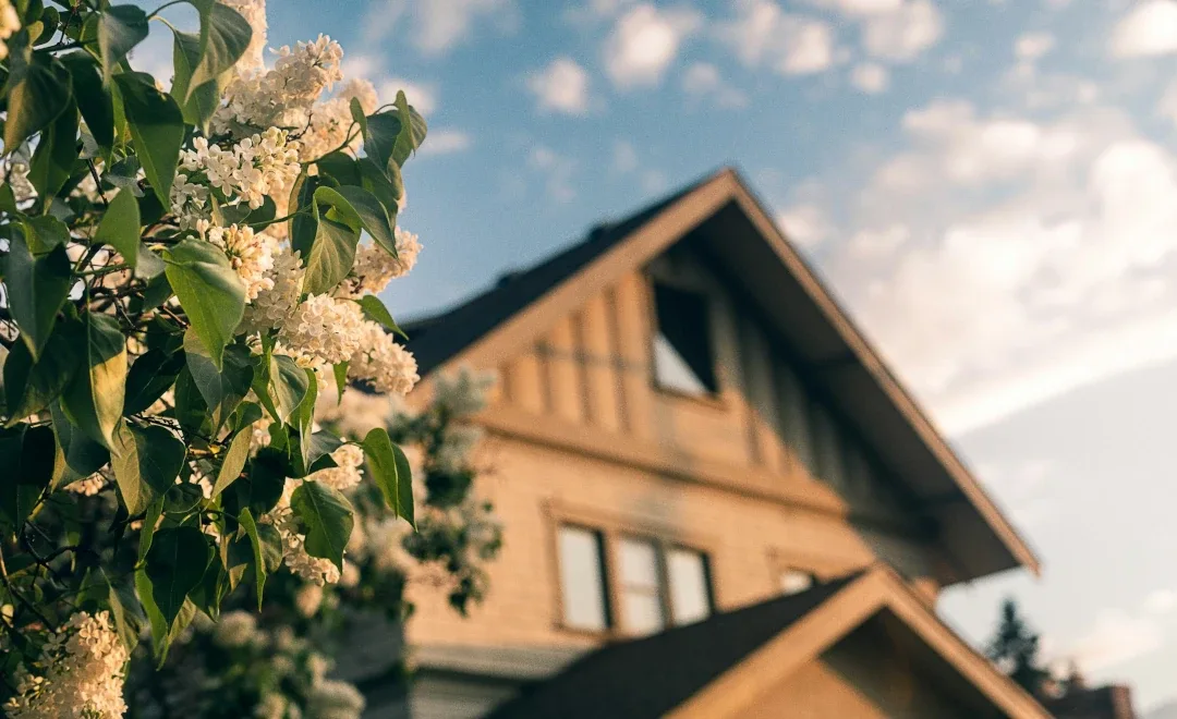 flowers in focus with home behind
